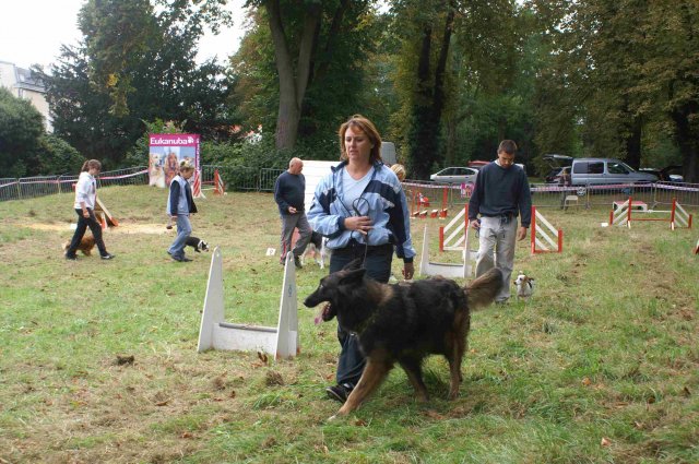 foire-haricots 2011-09-17et18
